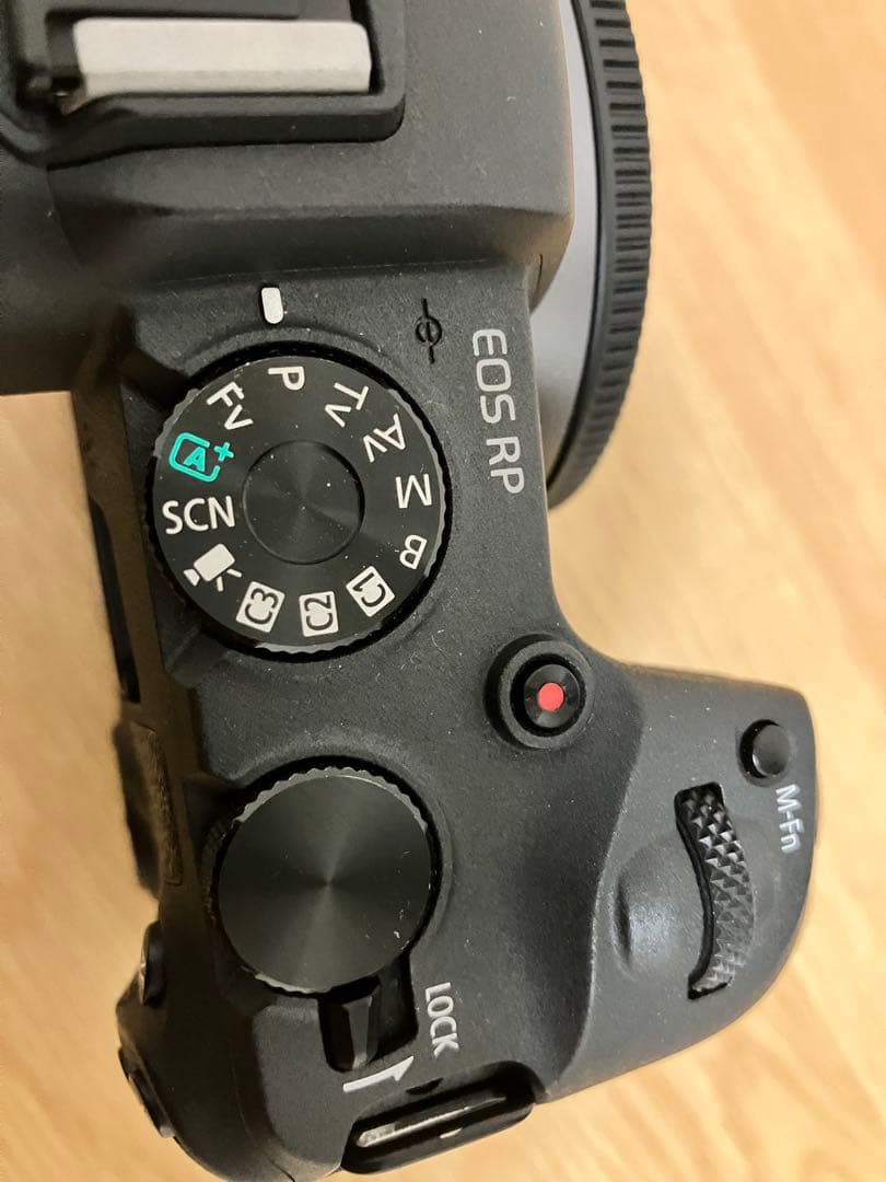 【美品】Canon EOS RP ボディ【おまけ付】