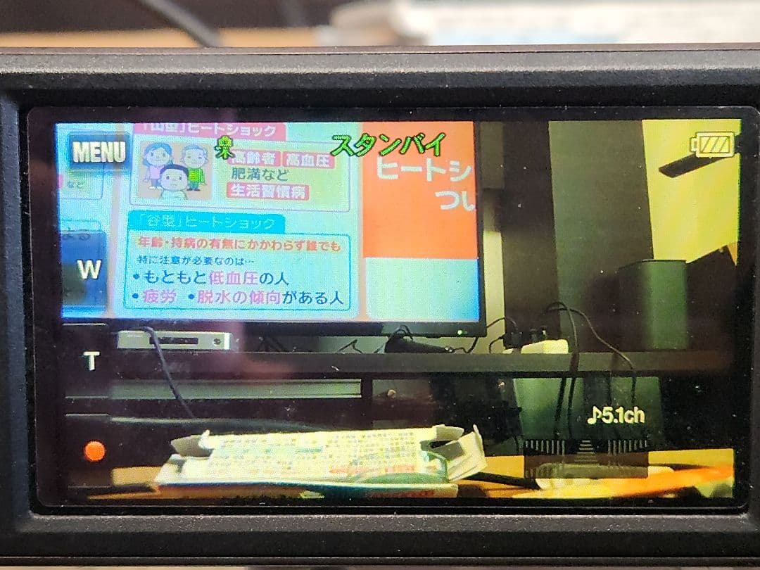 SONY HDR - CX535 ブラウン色