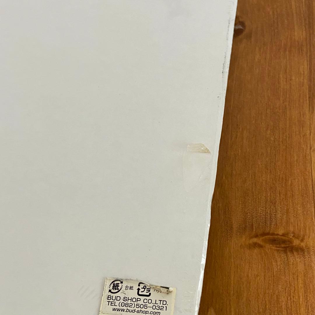 s*e様 超レア未使用品 Michael Jackson マイケルジャクソン 3