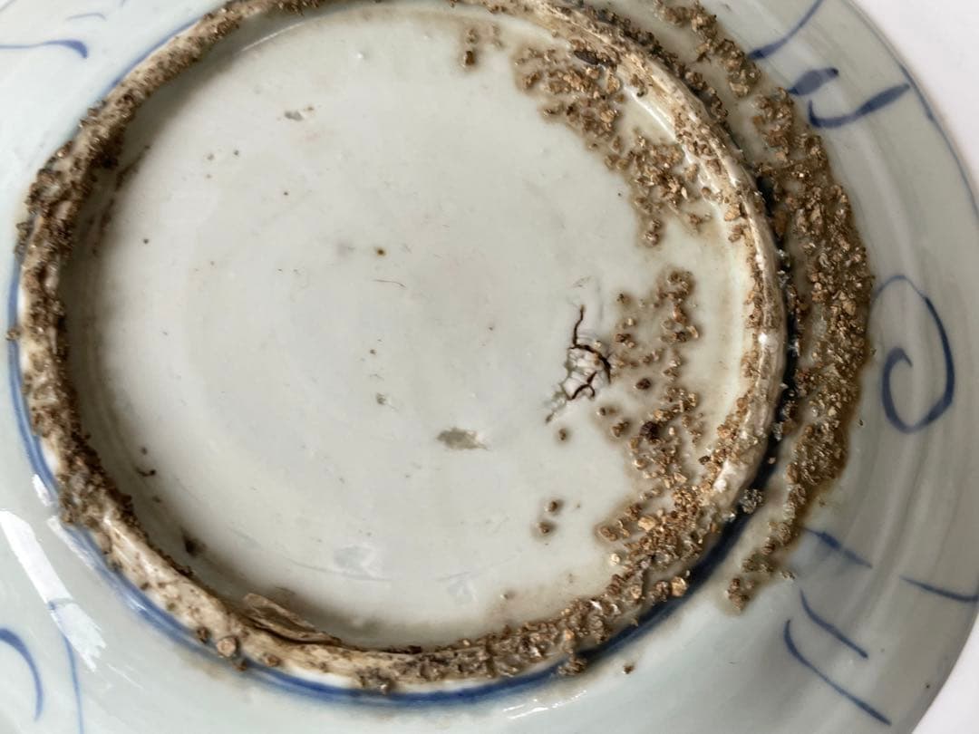 骨董　アンティーク　染付　古染付　芙蓉手　月 うさぎ　兎　七寸皿