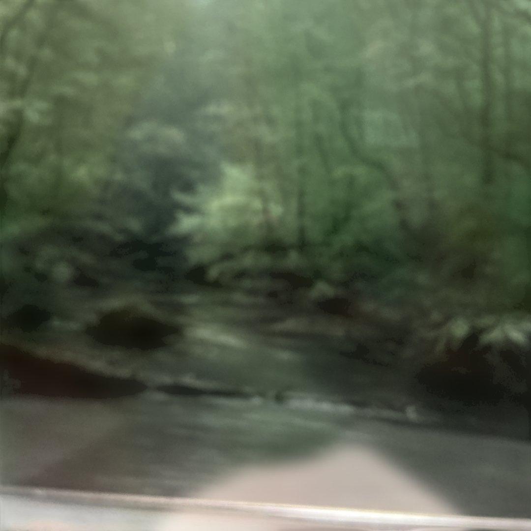 秀ちゃんさん専用　向山一石　（もいやまいつせき）　春光に憩う　「奥入瀬」　F6