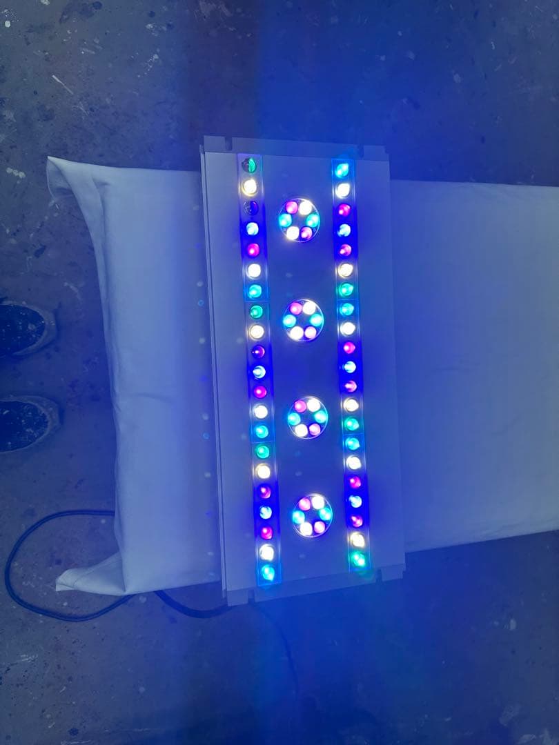 スペクトラSP200 システムLED