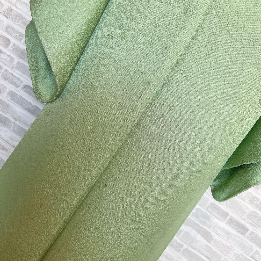 色無地　フルセット　丹後ちりめん　嵯峨野　蔓柏紋　パールトーン　地紋　H10