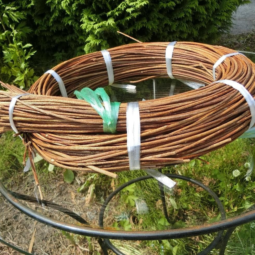 青森岩木山採取　あけび蔓　150cm～ 1kg