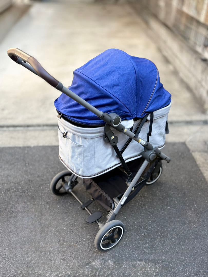 Compet lulutail ルルテイル　カネオヘブルー