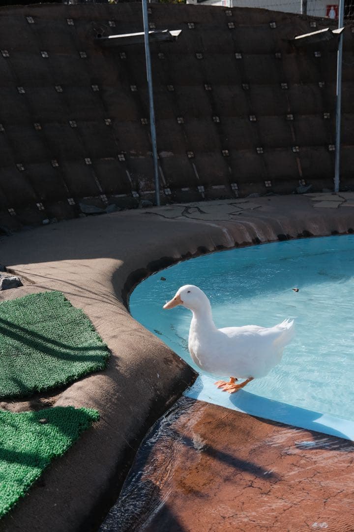 FUJIFILM X-E4 シルバー本体➕レンズ 2個