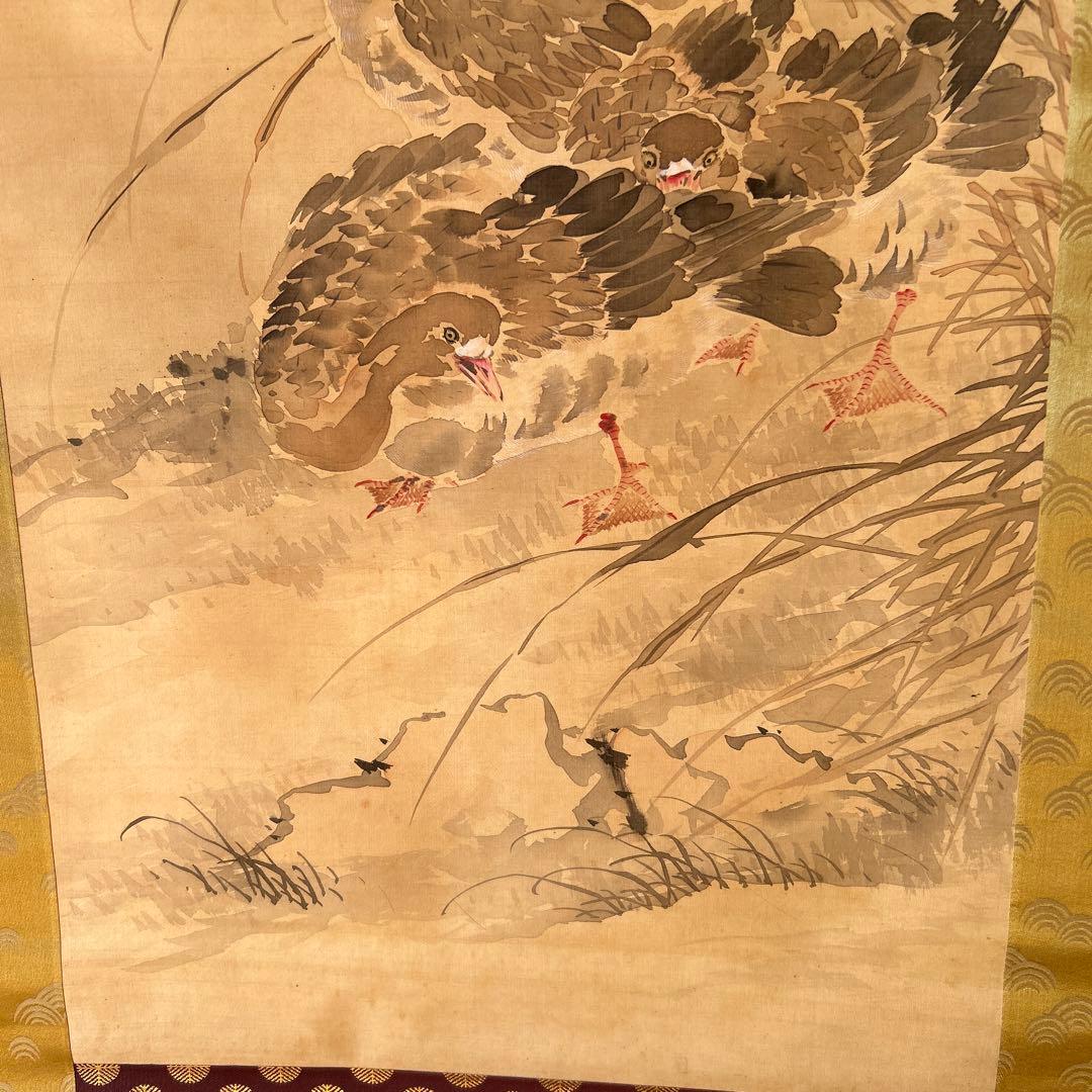 日本画掛軸　椿椿山