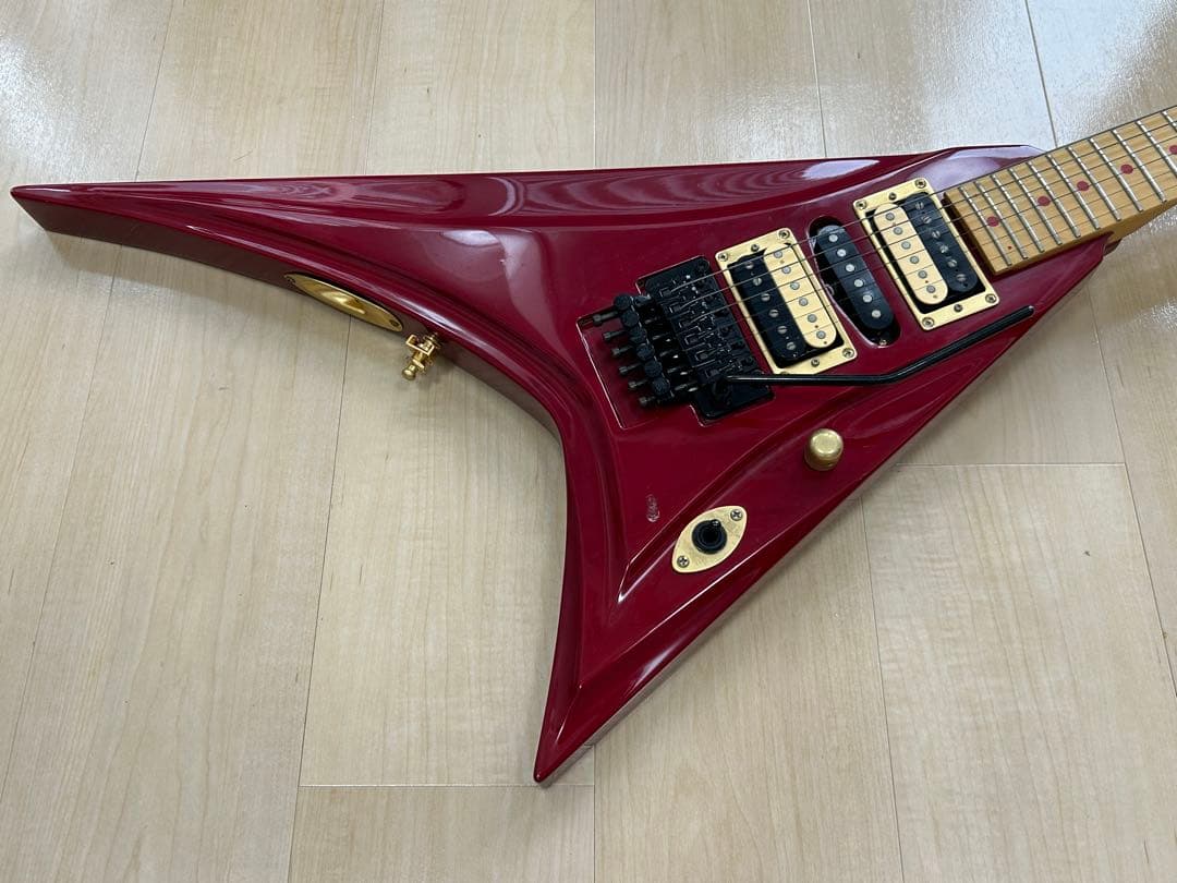 EDWARDS E-PV-143 PANTHERモデル ソフトケース付属