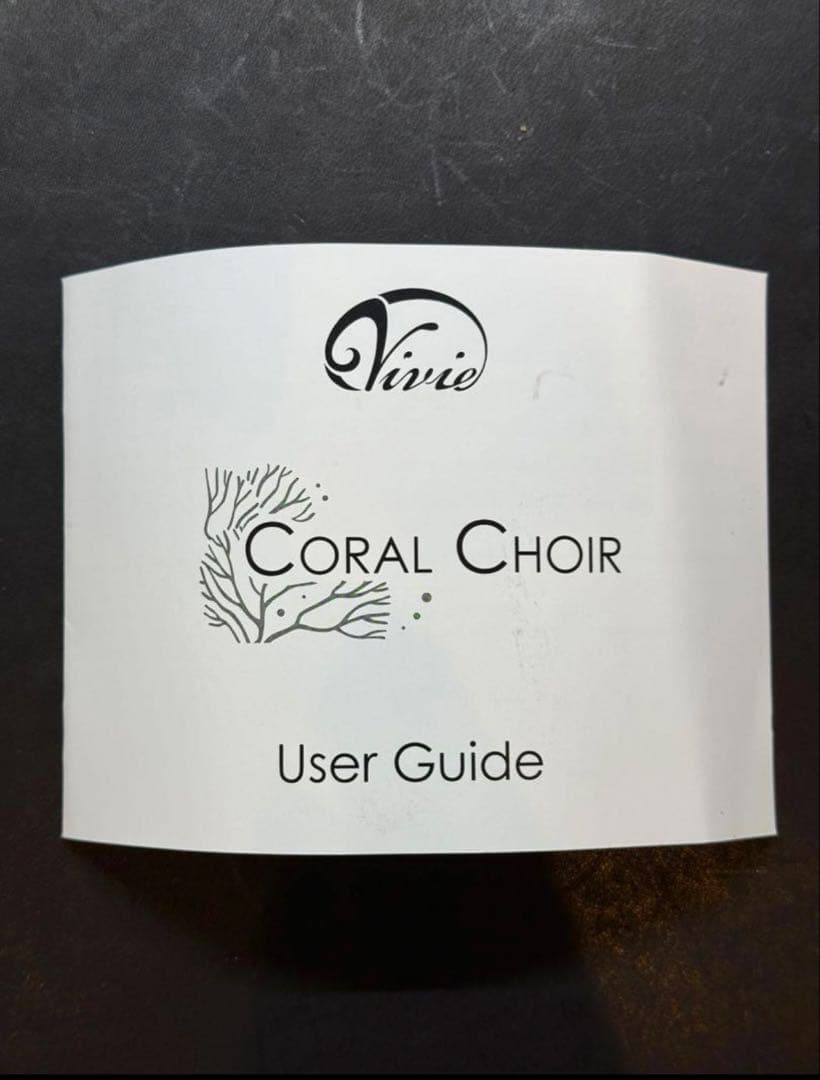 Vivie Coral Choir ギターエフェクター