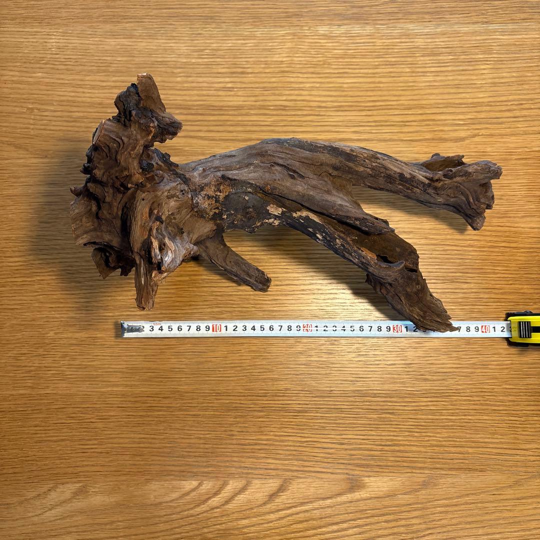 ADA流木　＊まとめ買いの場合は300円引き