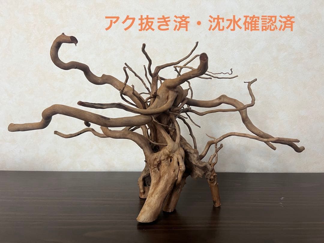 22321 ブランチウッド　流木　アクアリウム 沈水確認済