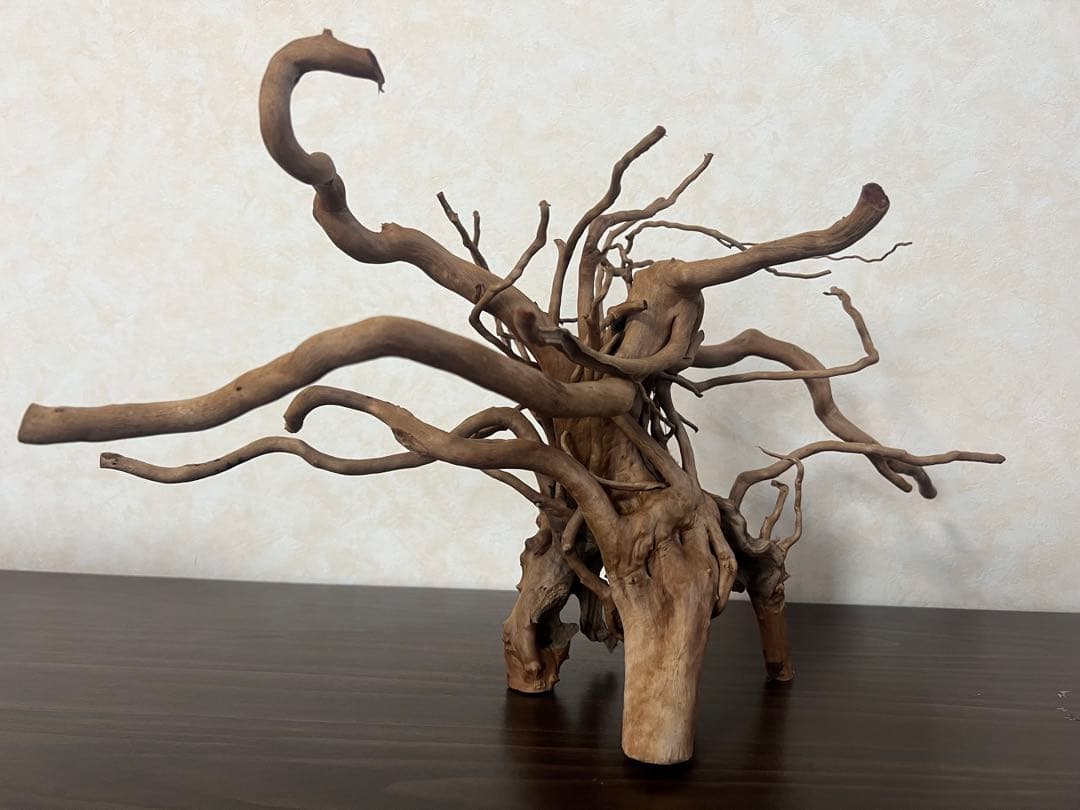 22321 ブランチウッド　流木　アクアリウム 沈水確認済