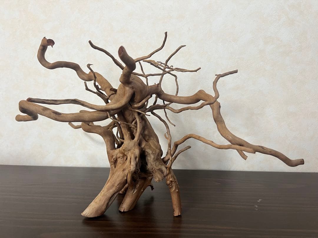 22321 ブランチウッド　流木　アクアリウム 沈水確認済