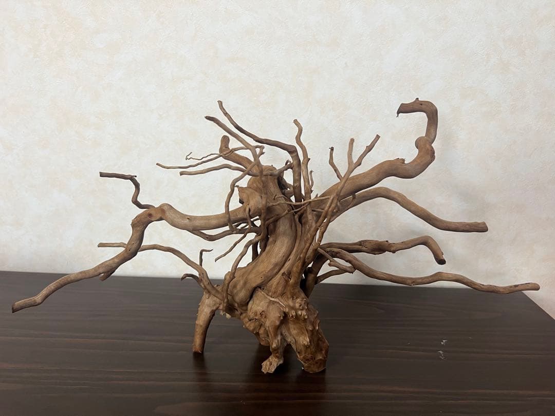 22321 ブランチウッド　流木　アクアリウム 沈水確認済