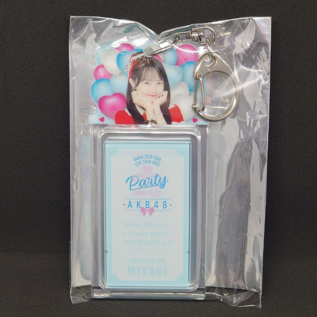 【Y】 AKB48 ライブツアー キーホルダーセット