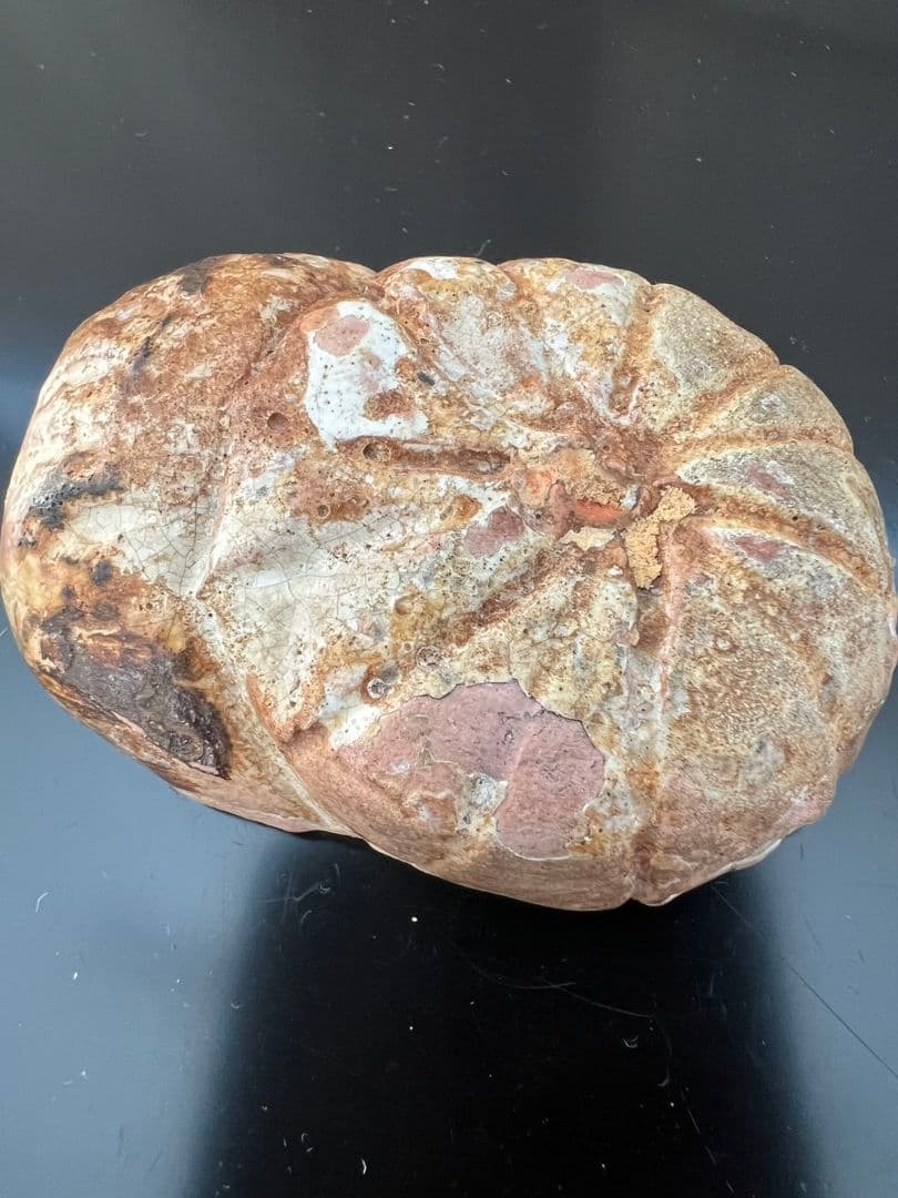 菊 香合 時代物 茶道具