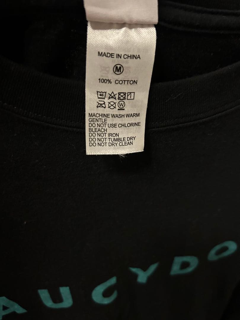 Saucy Dog サウシー オーナーズ Tシャツ パーカー ロンT