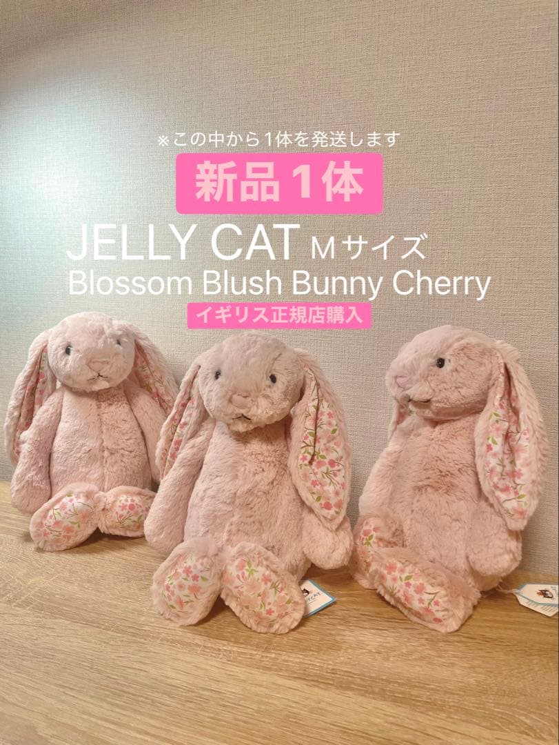 【新品】ジェリーキャットBlossom Blush Bunny Cherry M