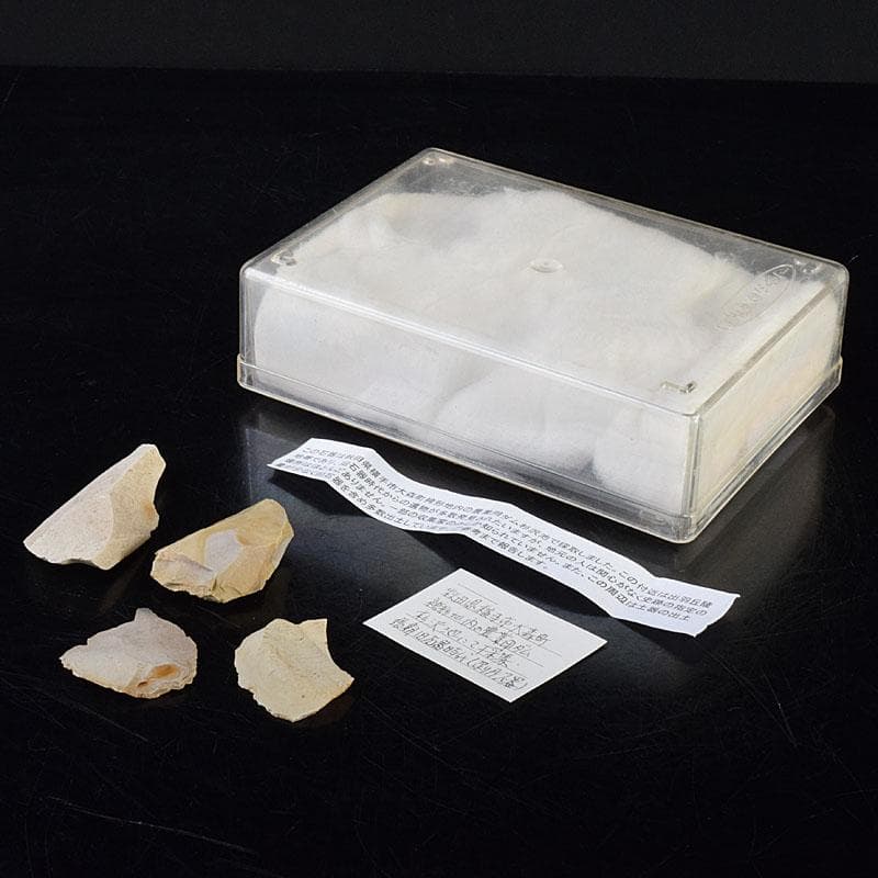 秋田県横手市出土　旧石器時代　陶片　土器　4点　C　R8566