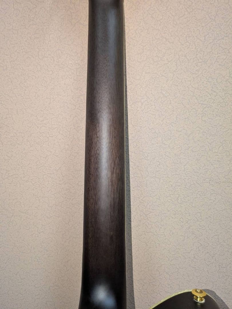 ギター ibanez TOD10N