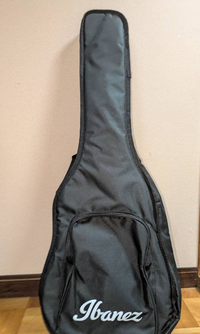 ギター ibanez TOD10N
