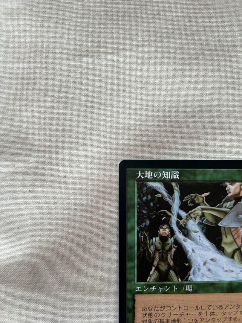 大地の知識　MTG