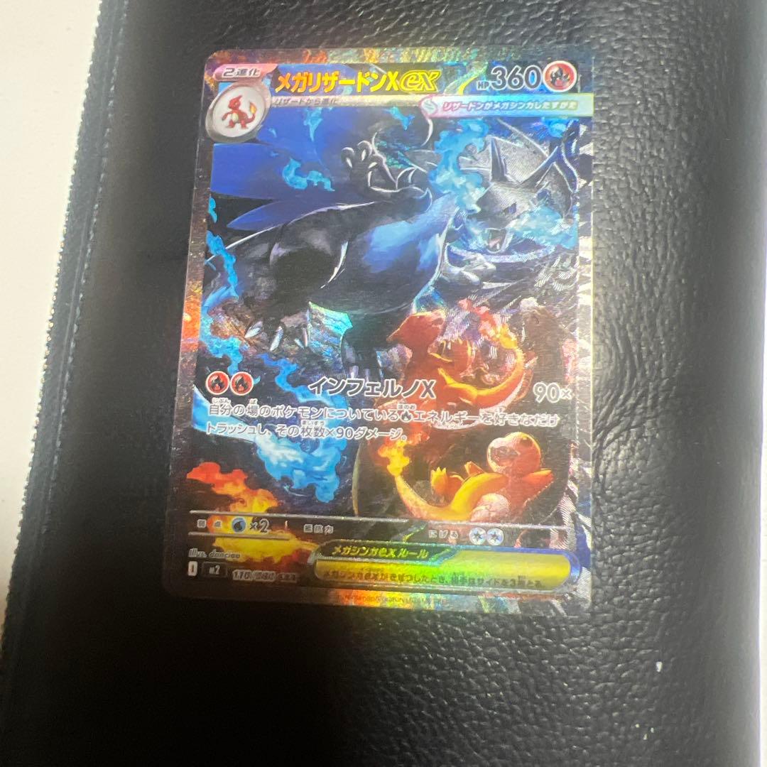 僕たち白猫 ‼️