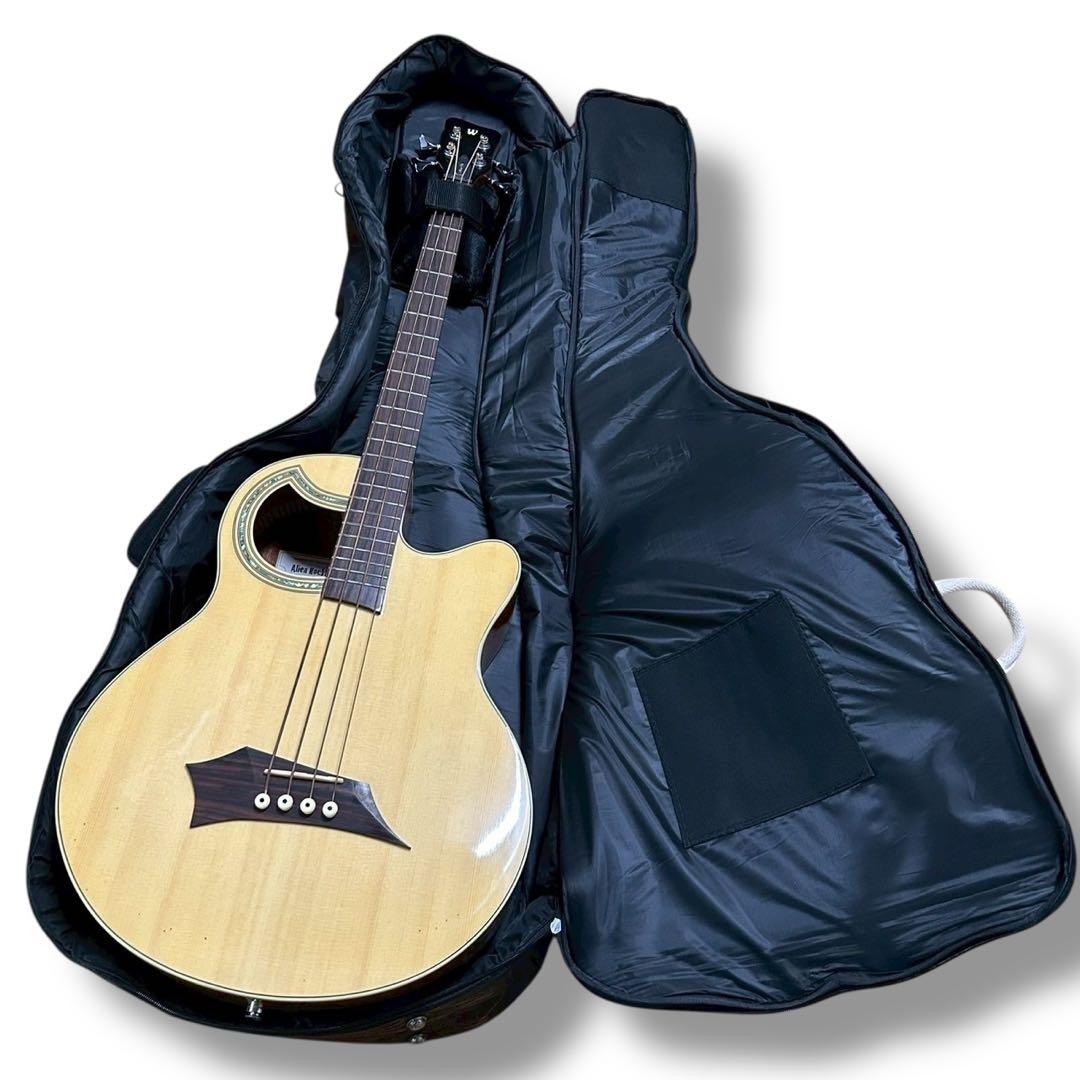 Warwick Alien Deluxe 4弦 アコースティックベース