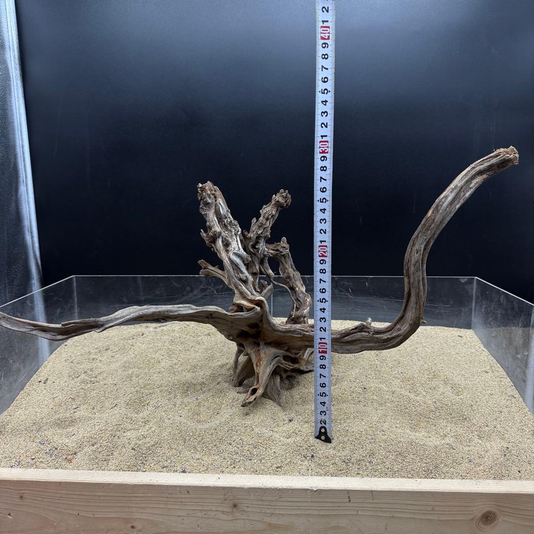 MSRW-7171 天然流木2本セット　スリムウッド　アクアリウム