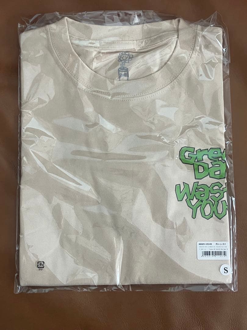 GREEN DAY WASTED YOUTH Tシャツ グリーンデイ　Sサイズ