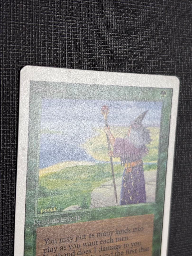 マジック：ザ・ギャザリング 2ED Fastbond