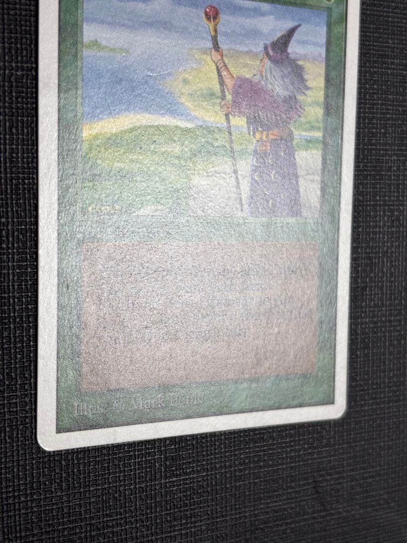 マジック：ザ・ギャザリング 2ED Fastbond