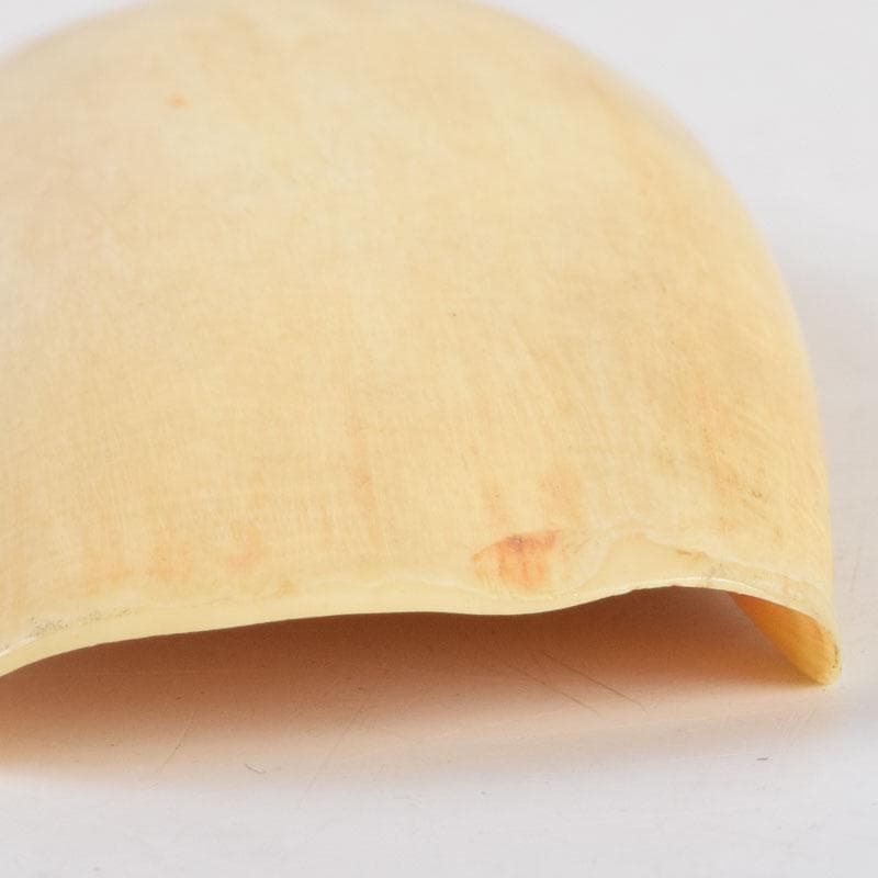 煎茶道具　熊野名産　マッコウクジラ　鯨歯彫刻　茶匙　茶合　共箱　D　9051