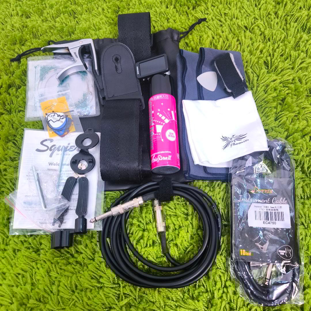 美品　Michael Kelly P90 シンラインテレキャスター アーチトップ