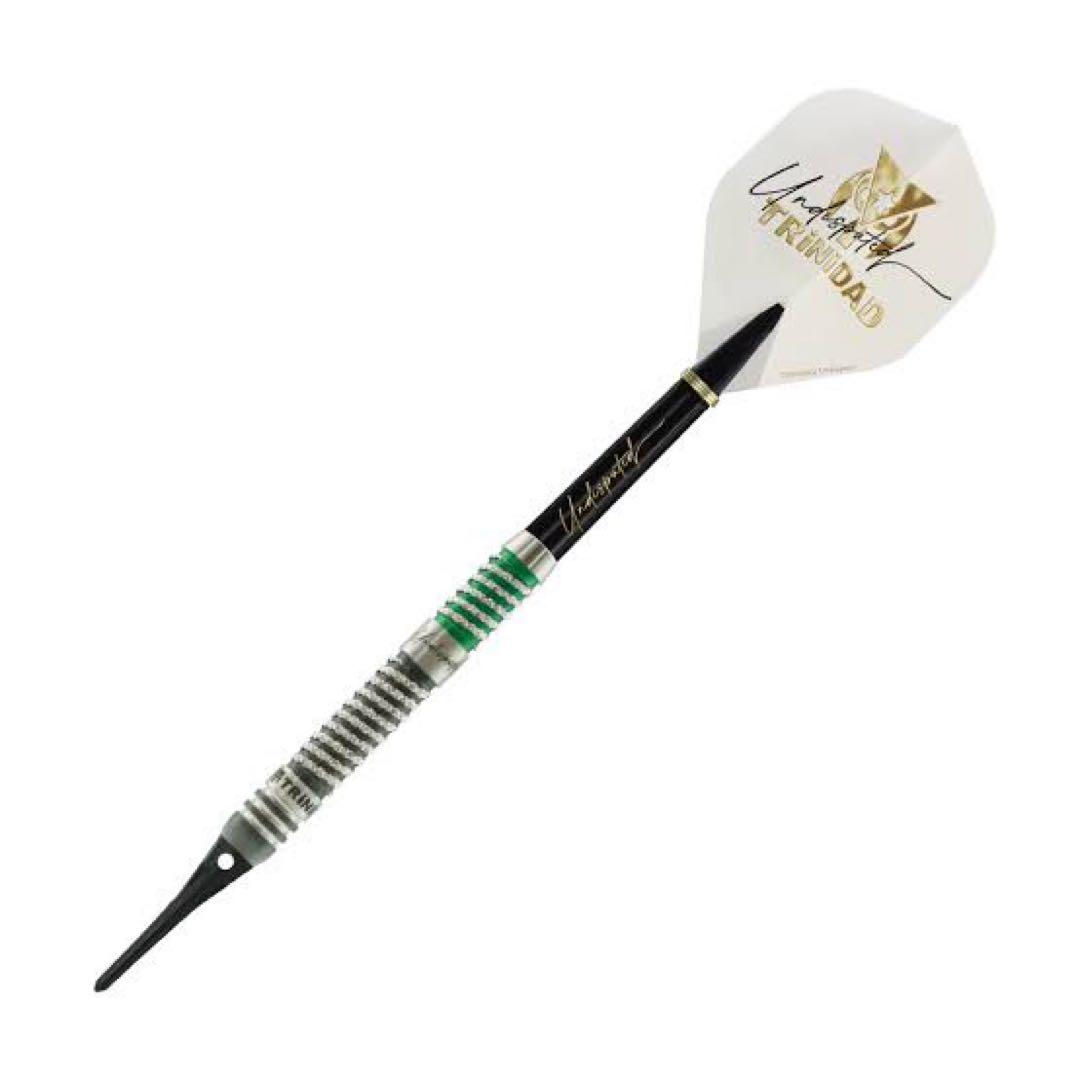 TRINIDAD RICARDO TYPE-C2 ダーツ 3本セット