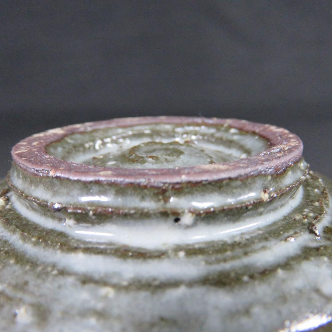 茶碗 刷毛目丸紋 木箱 共箱 在銘 茶の湯 茶器 抹茶碗 茶道具