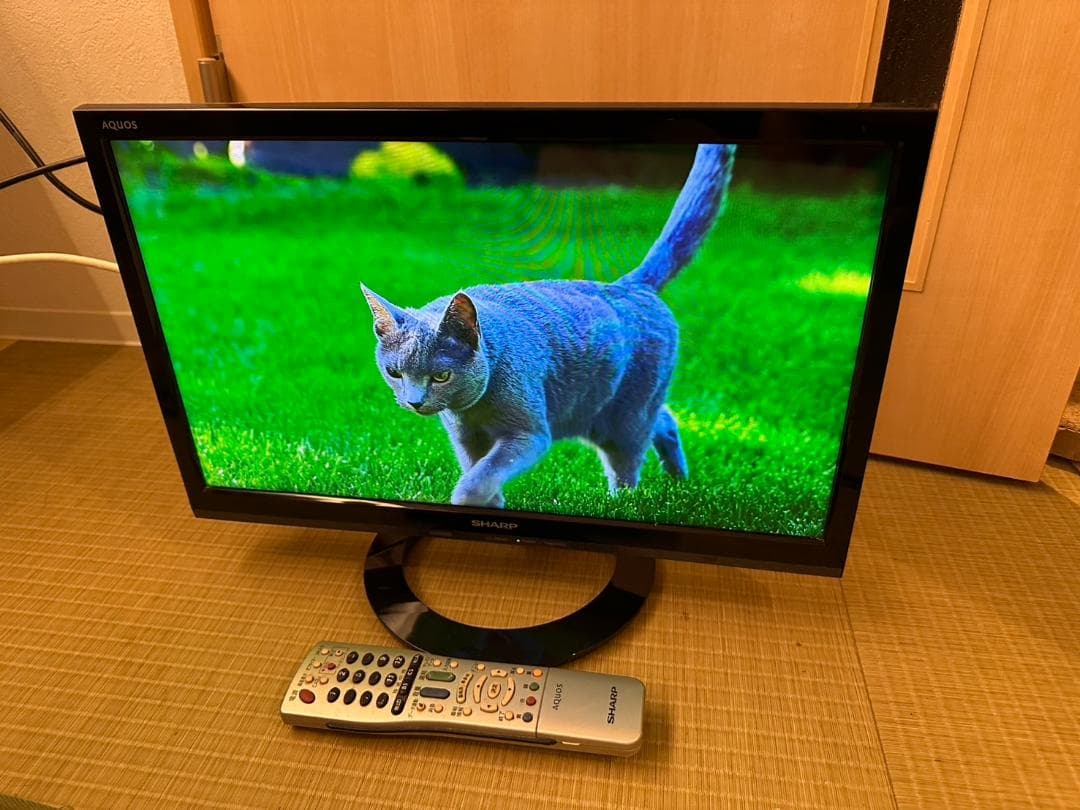SHARP シャープ　19型　テレビ LC-19K40　2017年製　映り綺麗！