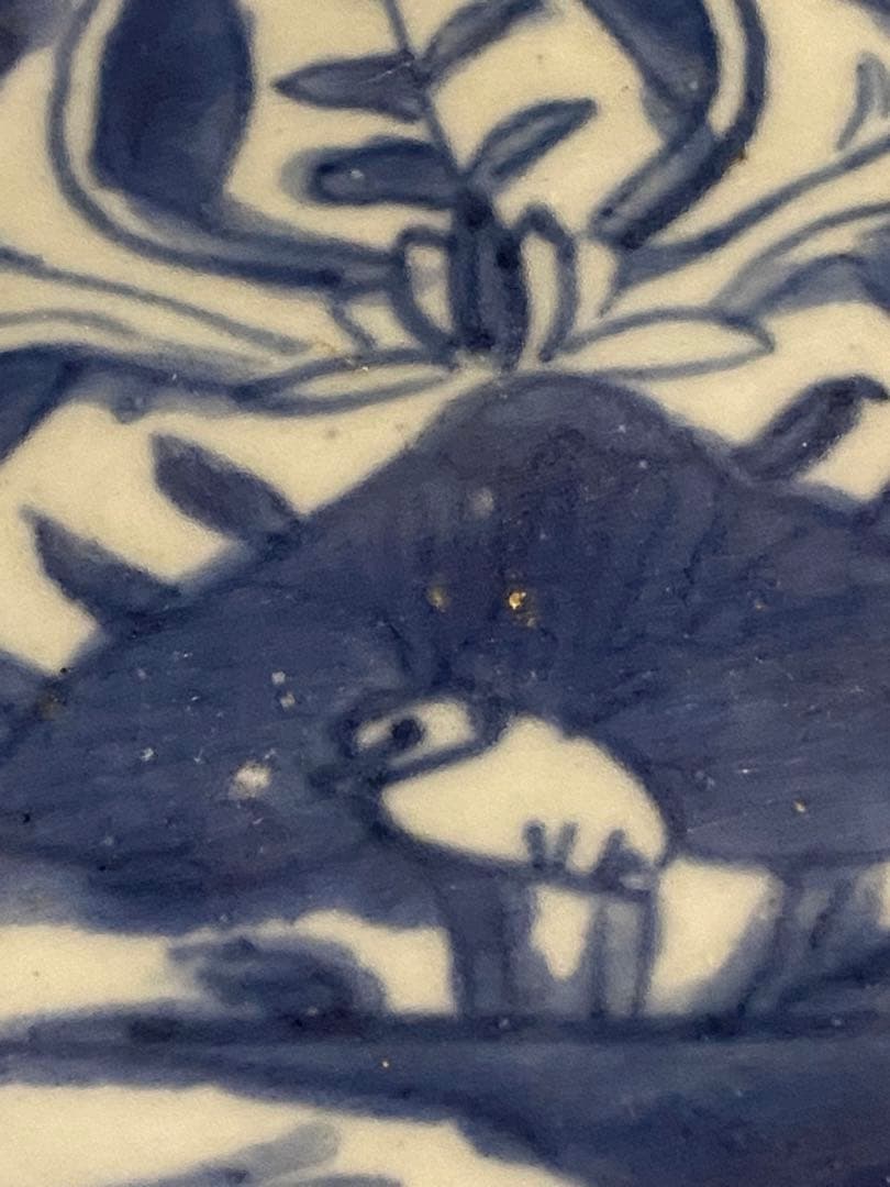 水草水禽文　古染付　平鉢