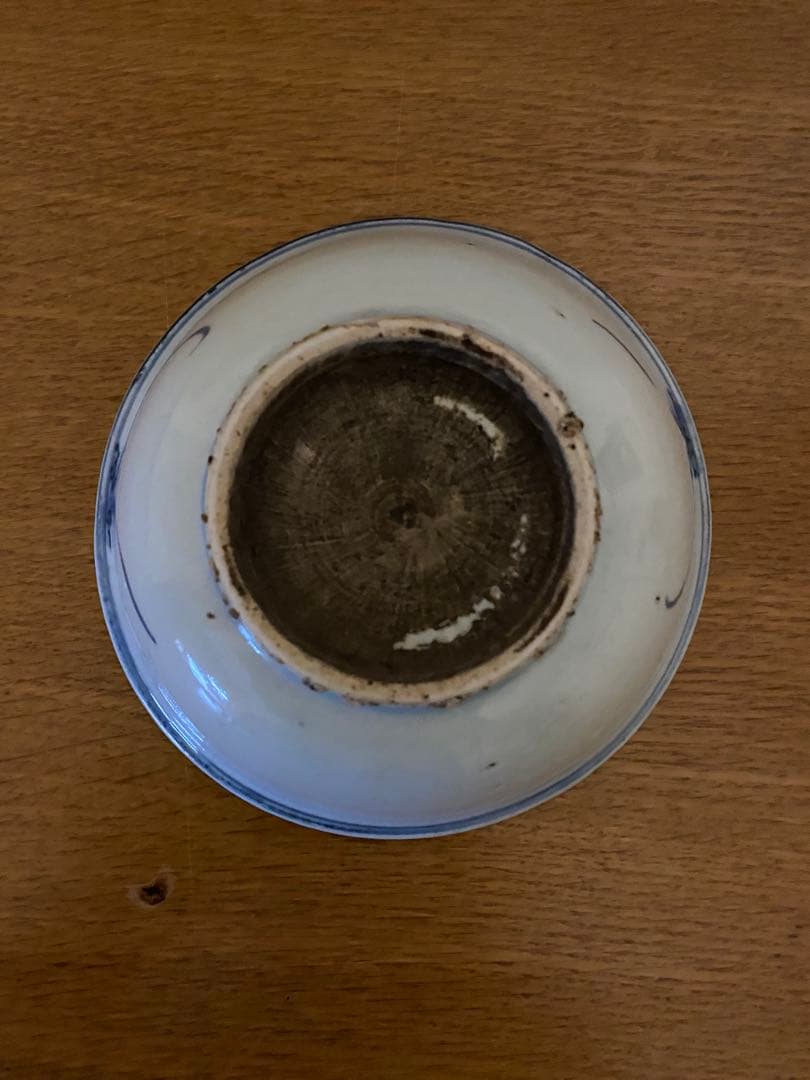 水草水禽文　古染付　平鉢