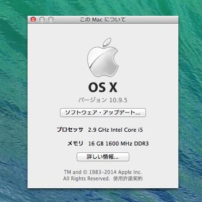 iMac 21.5インチ Late2013 16GB 1TB (Apple)