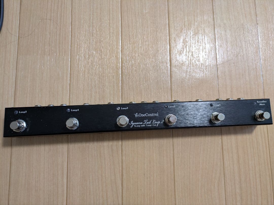 ギター OneControl Iguana Tail Loop 2