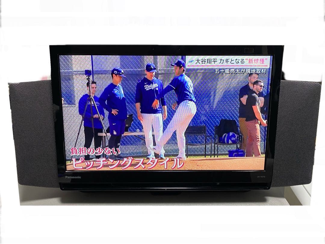 Panasonic プライベート・ビエラ UN-19Z1D