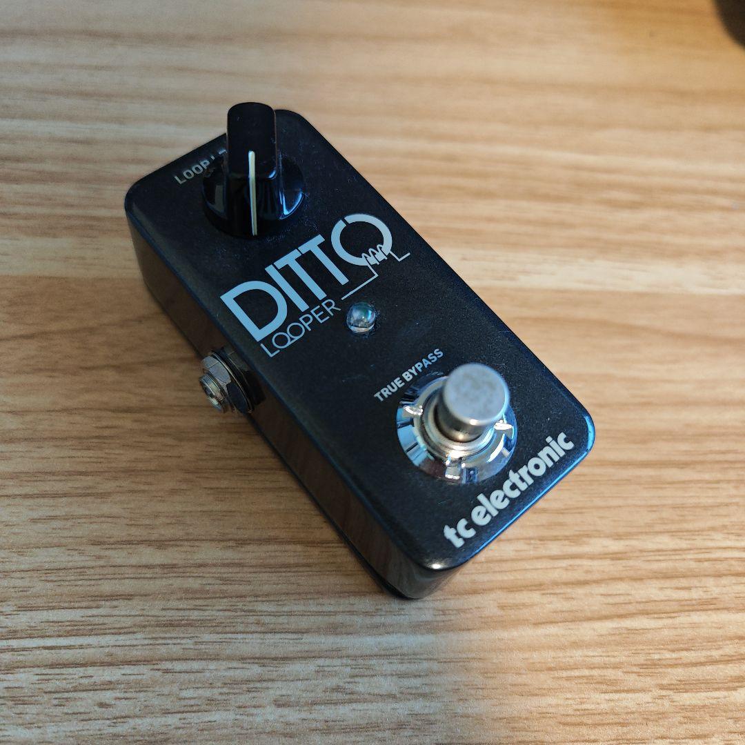 ギター tc electronic Ditto Looper