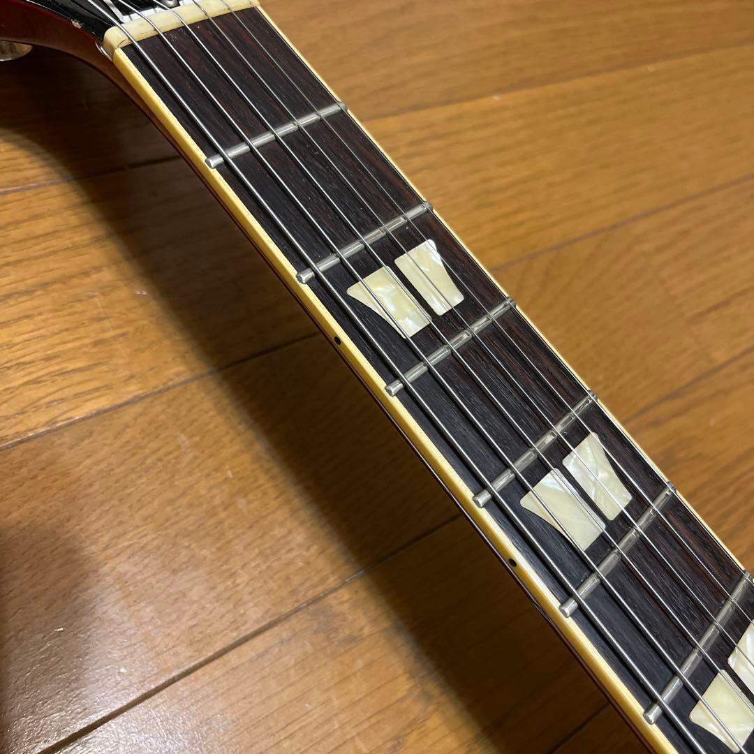 Historyレスポール タイプ (フジゲン製)