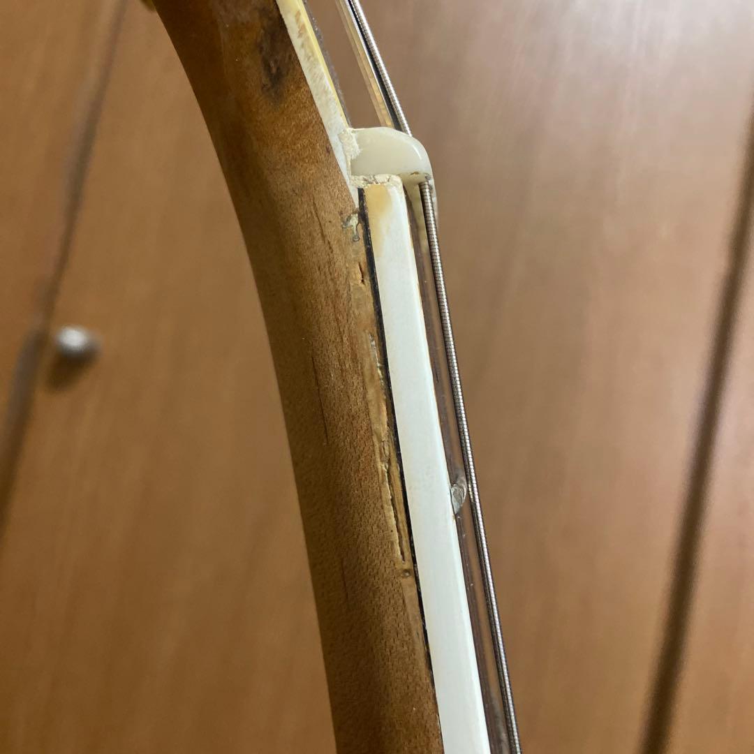 フルアコ 日本製　海外輸出モデル Epiphone NVJ-NT