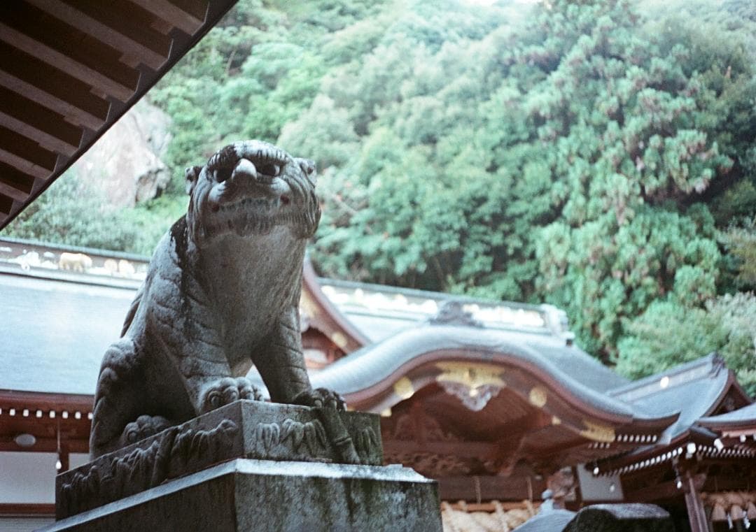 オリンパスペンD 実写済み OLYMPUS PEN D