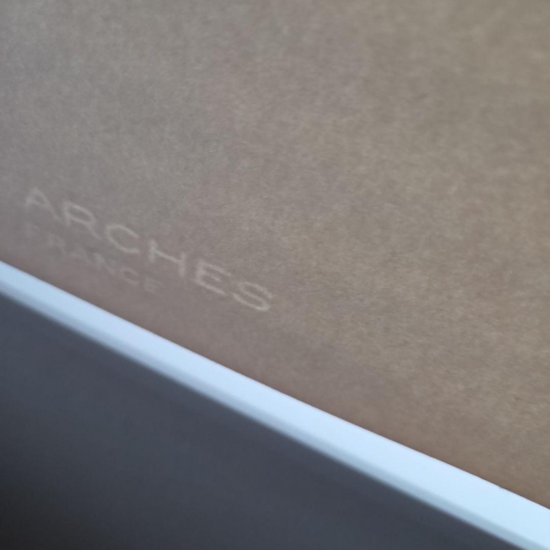 ピカソ リトグラフ 8点セット (アルシュ紙使用)