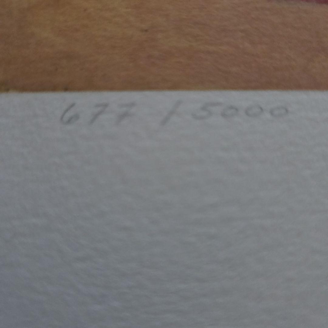 ピカソ リトグラフ 8点セット (アルシュ紙使用)