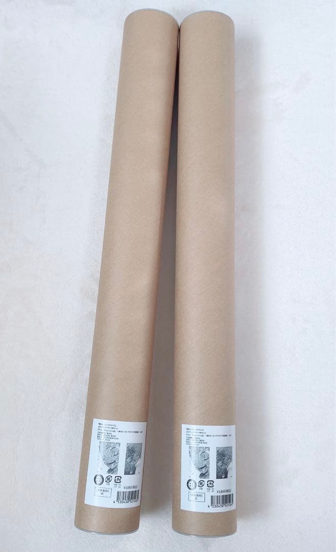 僕のヒーローアカデミア　原画展　アートポスター　緑谷出久　爆豪勝己　ヒロアカ