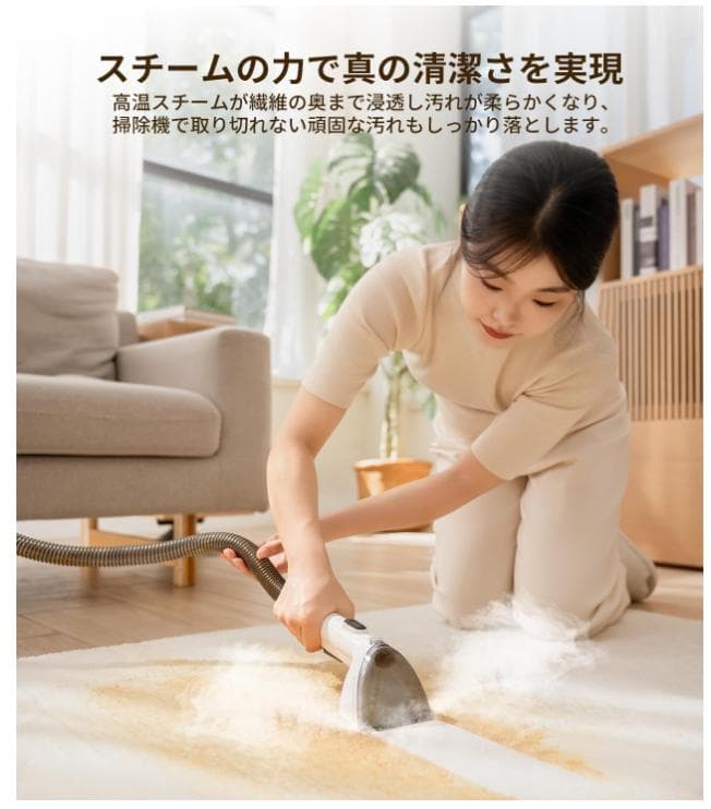 リンサークリーナー 高温スチーム 20kPa 加熱式 大容量 お手入れ簡単